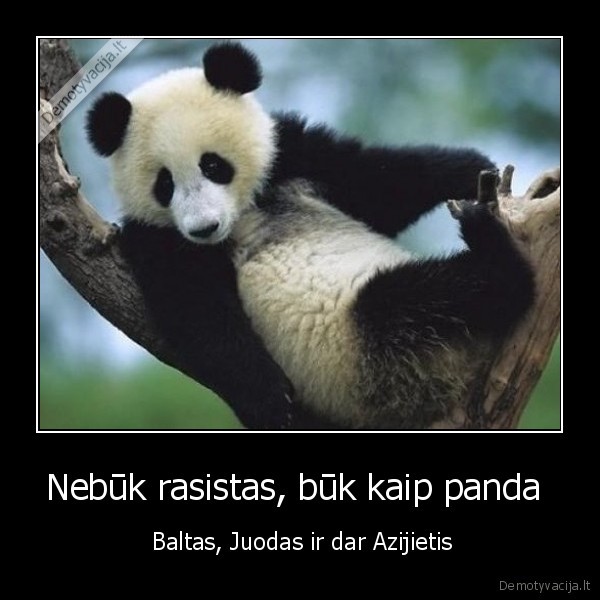 Nebūk rasistas, būk kaip panda 