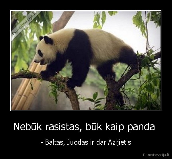 dfhgdf