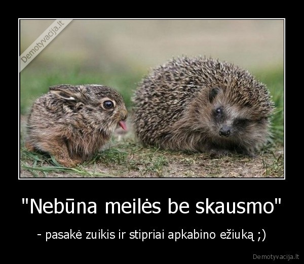 gyvunai,meile,skausmas,draugyste,gyvenimas