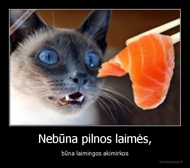 katinas,susiai,sushi,laimingas