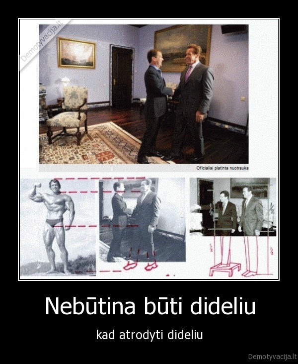 dmitrijus, medvedevas,arnoldas, svarcnegeris,rusijos, prezidentas,didelis