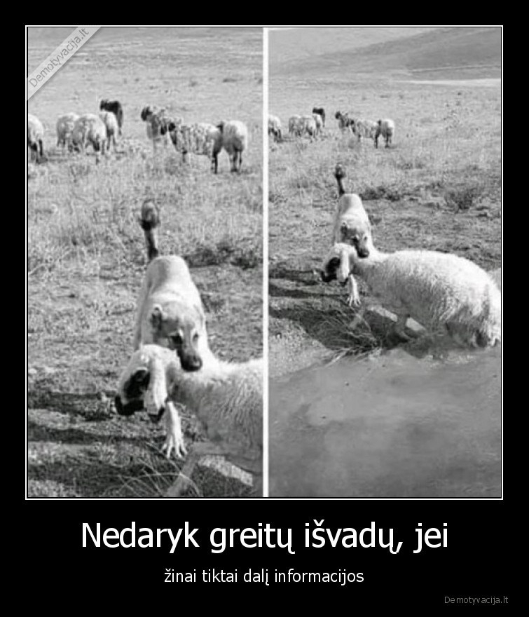 manipuliacija,nuotrauka,isvados