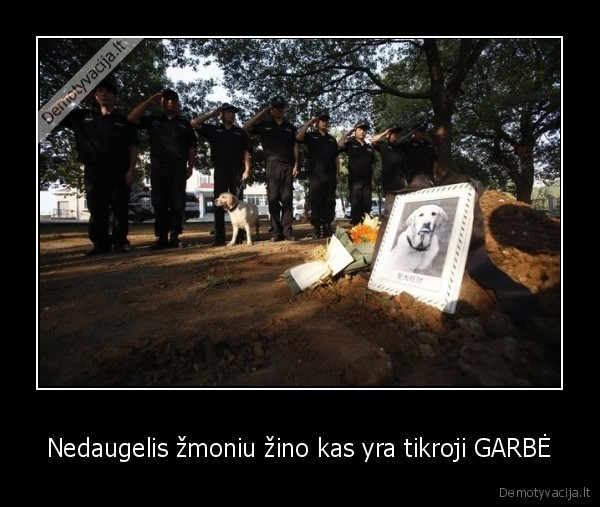 garbe,gyvenimas
