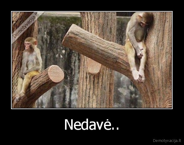 Nedavė..