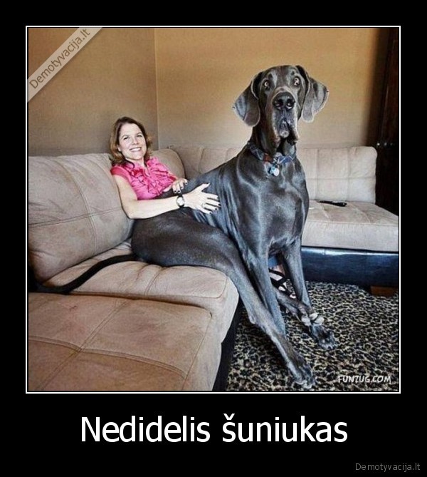 Nedidelis šuniukas
