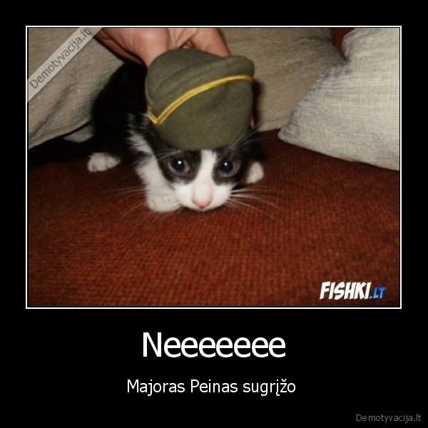 Neeeeeee