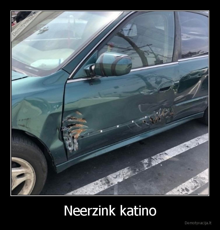 katinas,erzinti,masina
