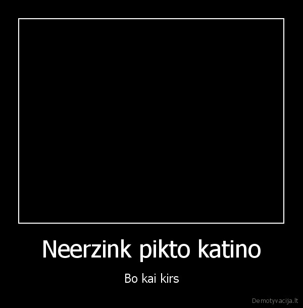 Neerzink pikto katino