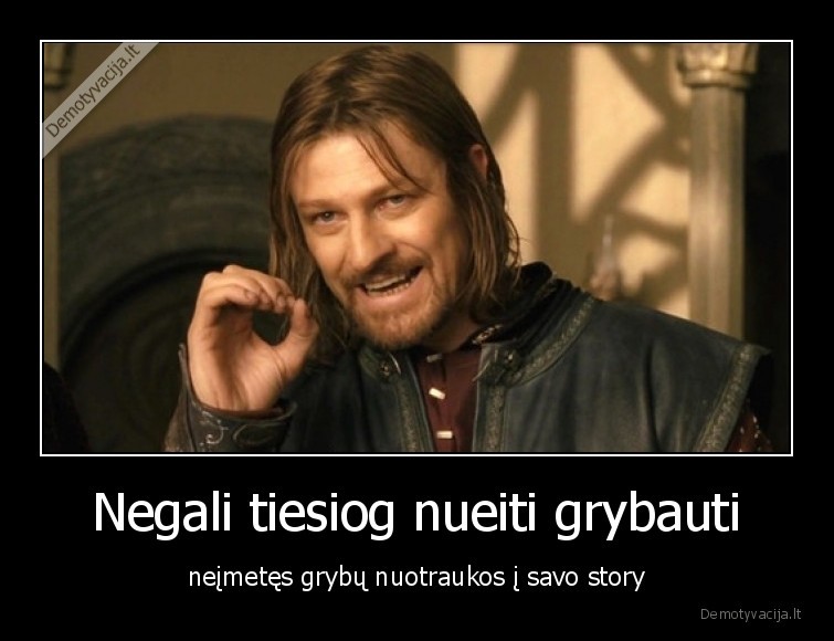 grybai,story,instagramas,grybauti