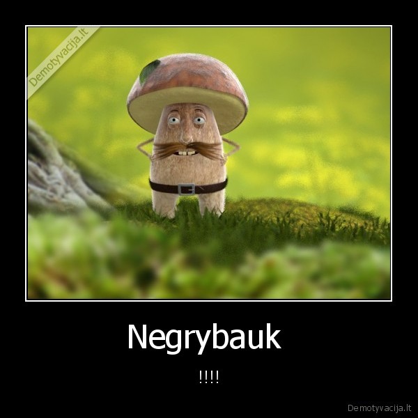 Negrybauk 
