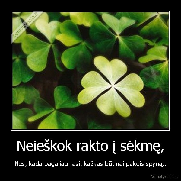 Neieškok rakto į sėkmę,