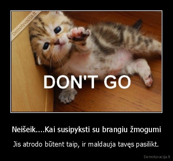 katinukas, tai, mielas, vien, uz, fotke, patinka, demo, tai, supista