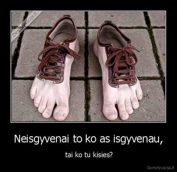 Neisgyvenai to ko as isgyvenau,