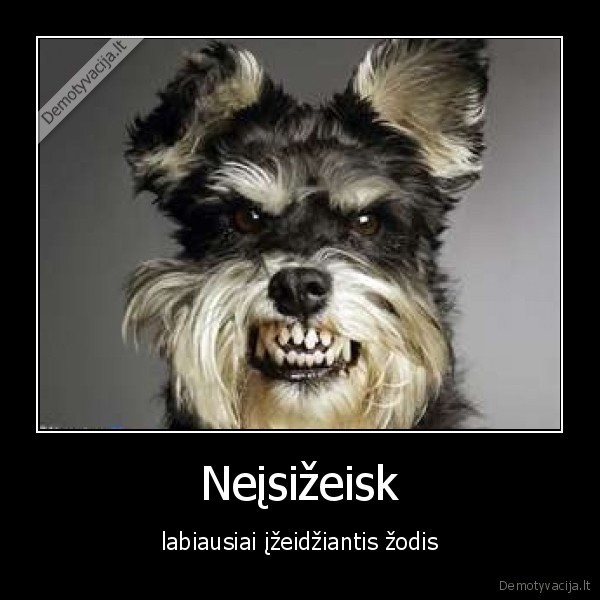 nepaspaudei, patinka, isizeidziau