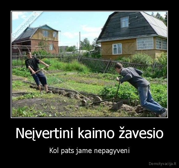 kaimas,zavus, kaimas,kaimieciu, gyvenimas,aria, lauka