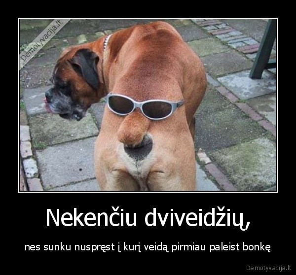 dviveidziai