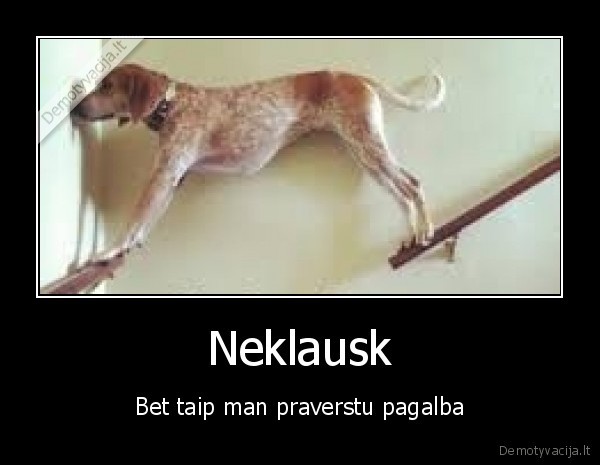 suo,reikalinga,pagalba