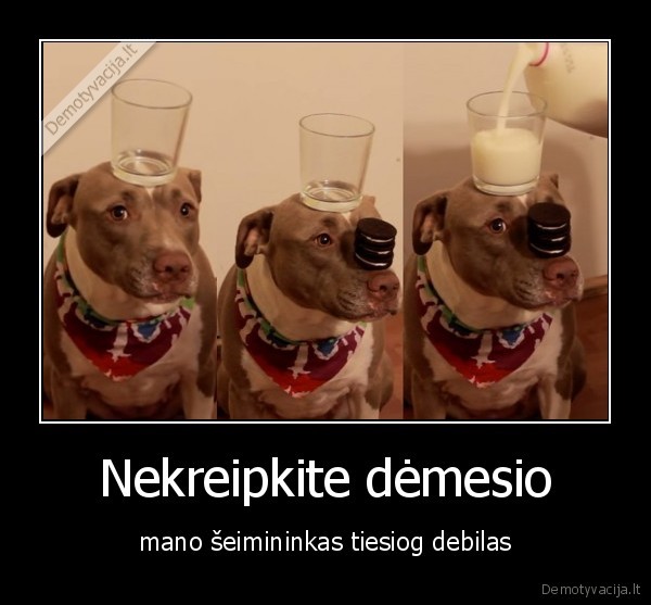suo,pienas, seimininkas