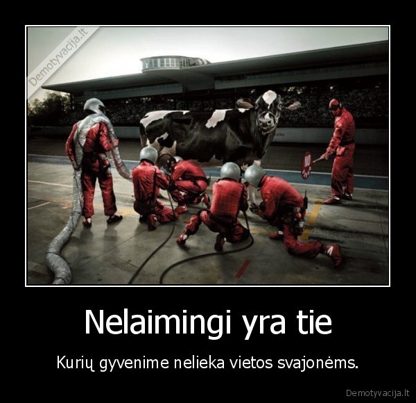 Nelaimingi yra tie