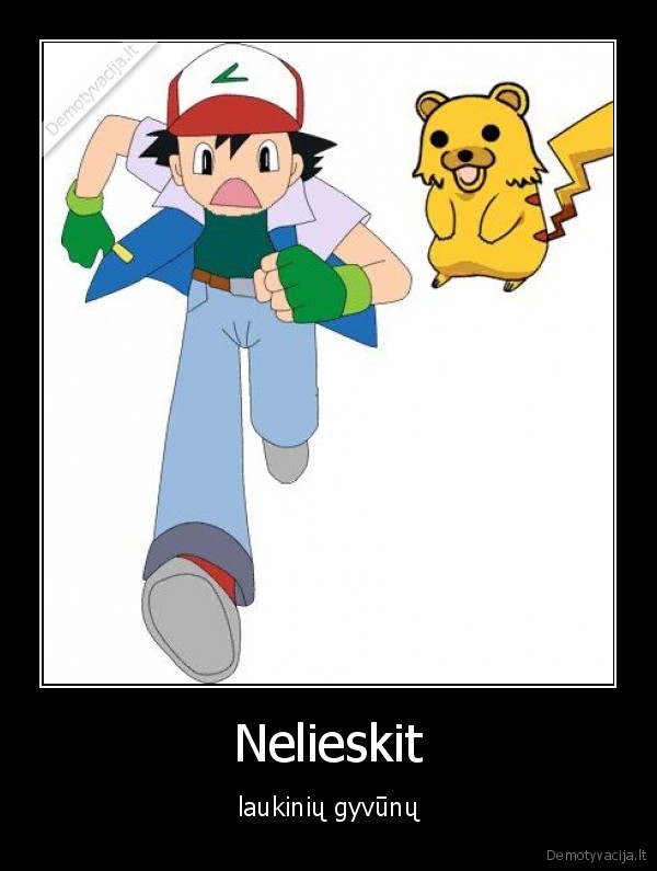 Nelieskit