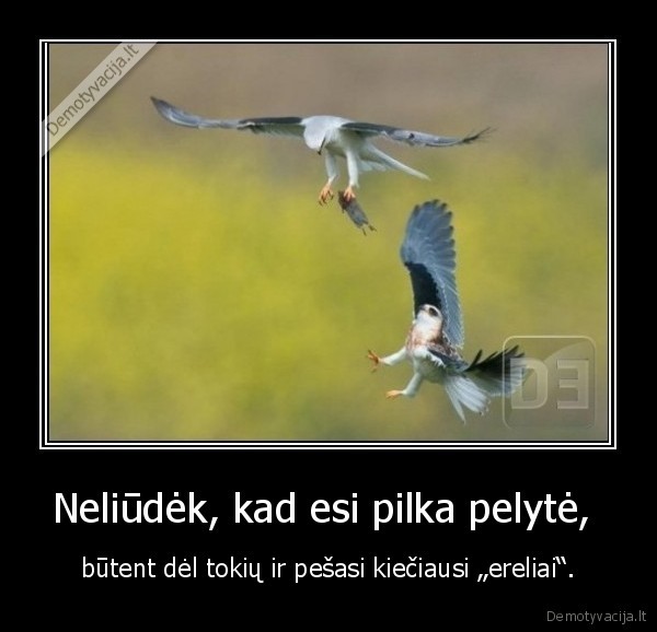 ereliai,meile