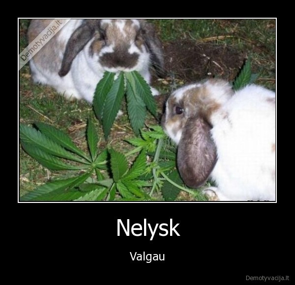 Nelysk