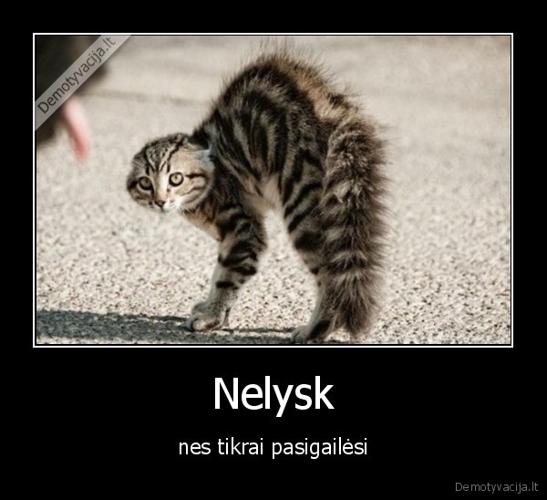 Nelysk