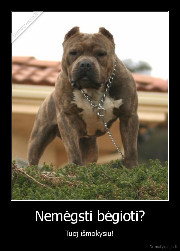 suo,bega,zmogus