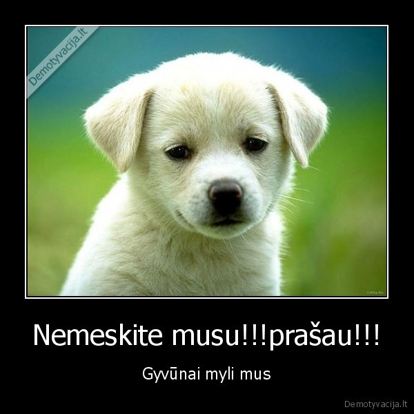 Nemeskite musu!!!prašau!!!