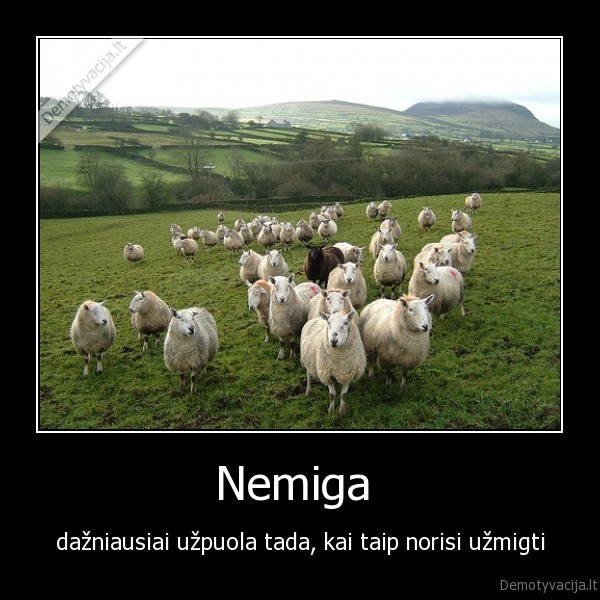 miegas,nemiga