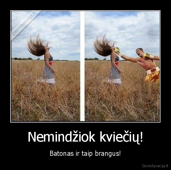 batonas,kvieciai,laukai