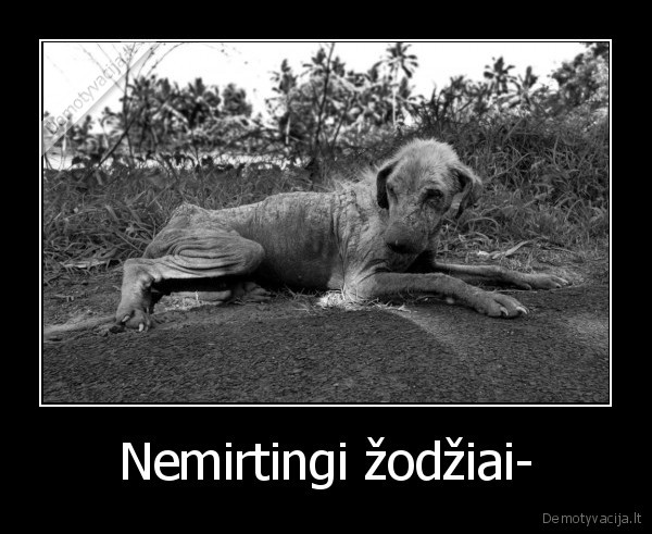 Nemirtingi žodžiai-