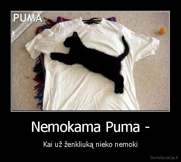 Nemokama Puma -