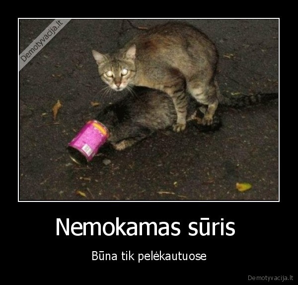 Nemokamas sūris 