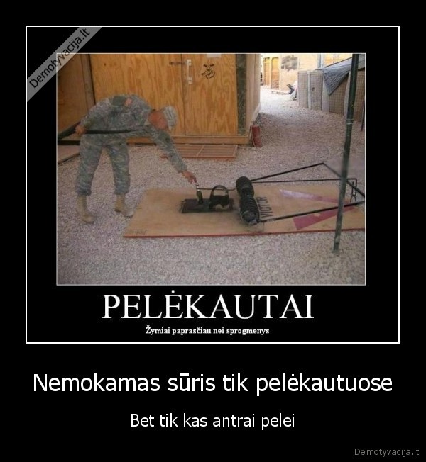Nemokamas sūris tik pelėkautuose