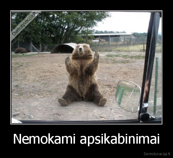 Nemokami apsikabinimai