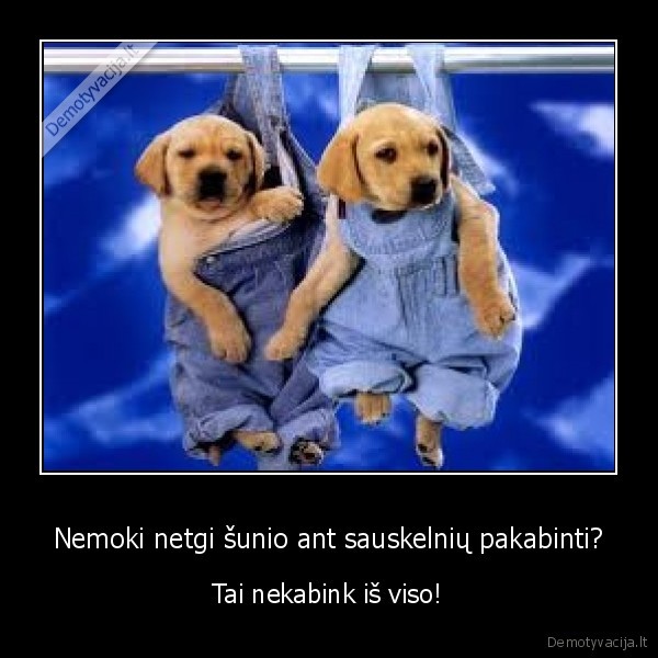 Nemoki netgi šunio ant sauskelnių pakabinti?