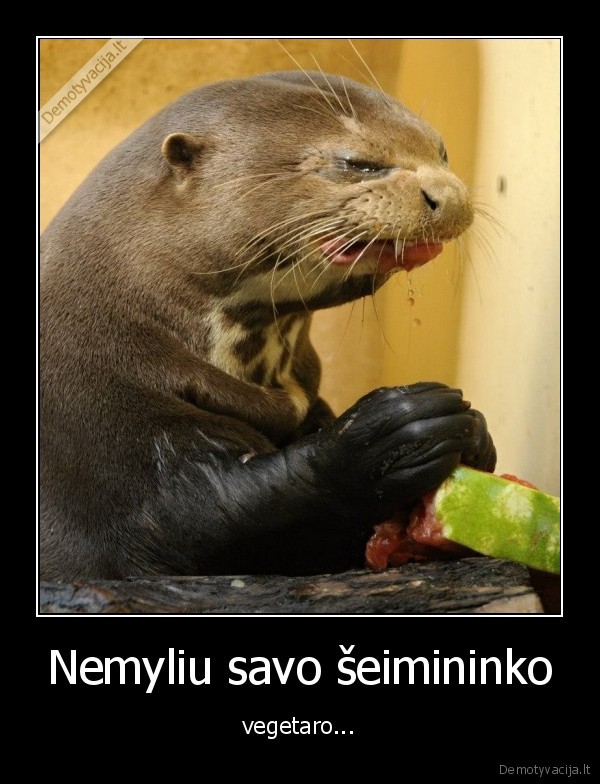 gyvunai