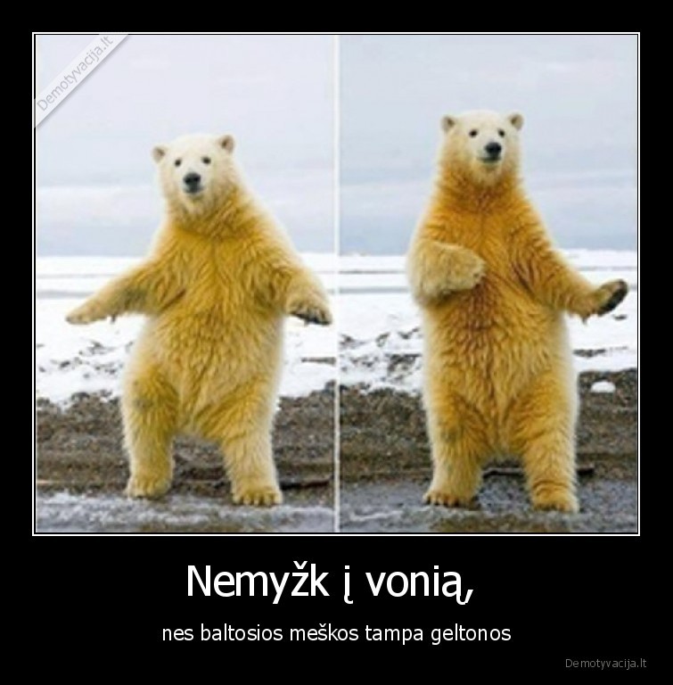 meskos,baltosios,geltona,myzti,vonia