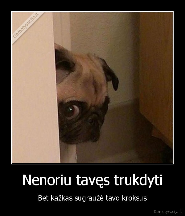 suo,kaltas, suo,liudnas, zvilgsnis