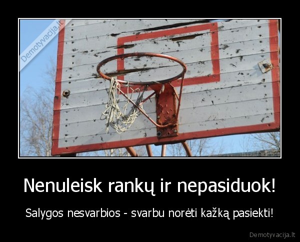 sportas