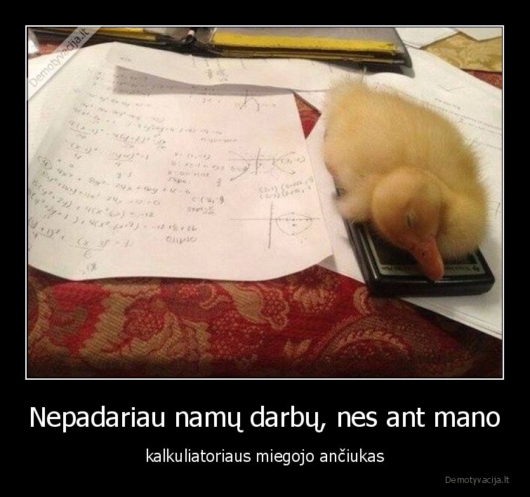 anciukas,miegojo,kalkuliatorius,namu,darbai