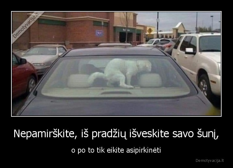 suo,sika,masina,ziauru