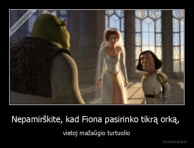 orkas,srekas,fiona,meile