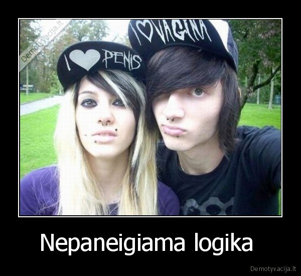 Nepaneigiama logika 