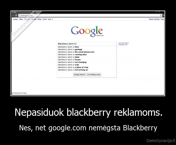 blackberry,storm