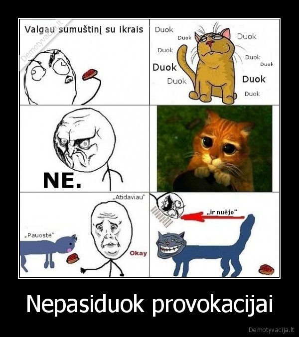 katinas,sumustinis, su, ikrais,provokacija,katinas, trollina