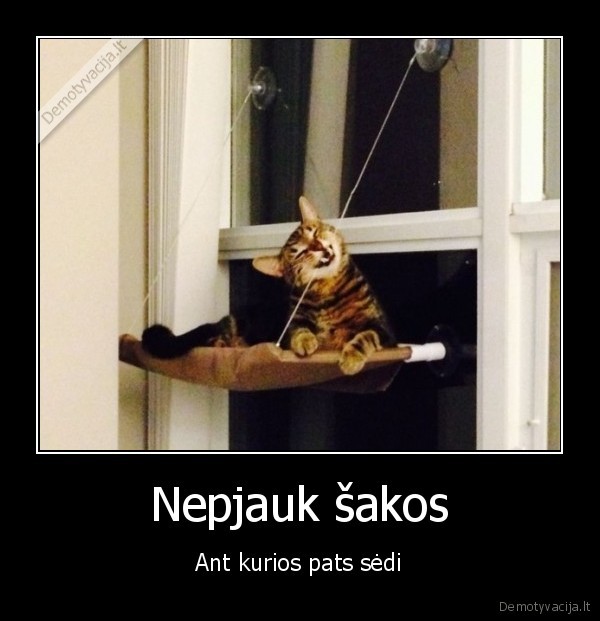 juokingas, katinas,kramto, siula,patarle, vaizdziai