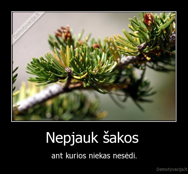 Nepjauk šakos 