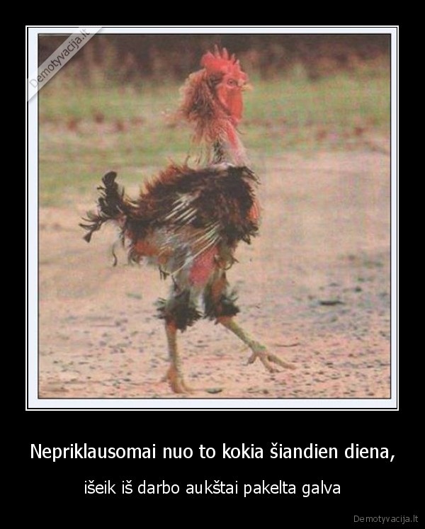 Nepriklausomai nuo to kokia šiandien diena,